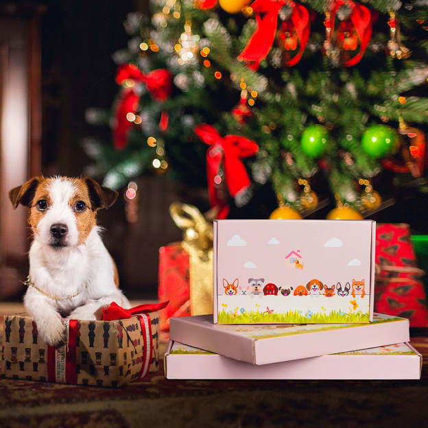 Little Dalmatian Planter-POIULTD