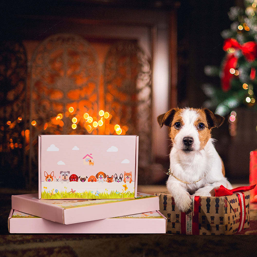 Bernese Bouvier Planter-POIULTD