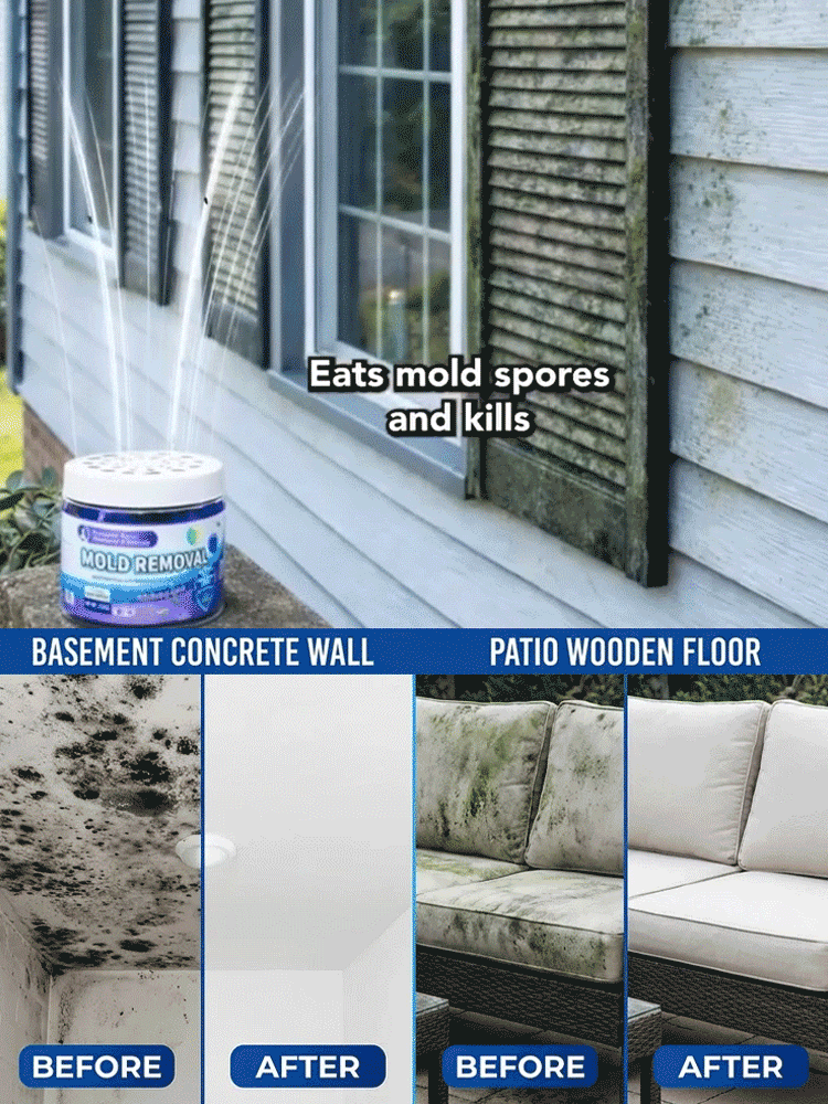 Powerful Household Mold Remover Box for Whole House