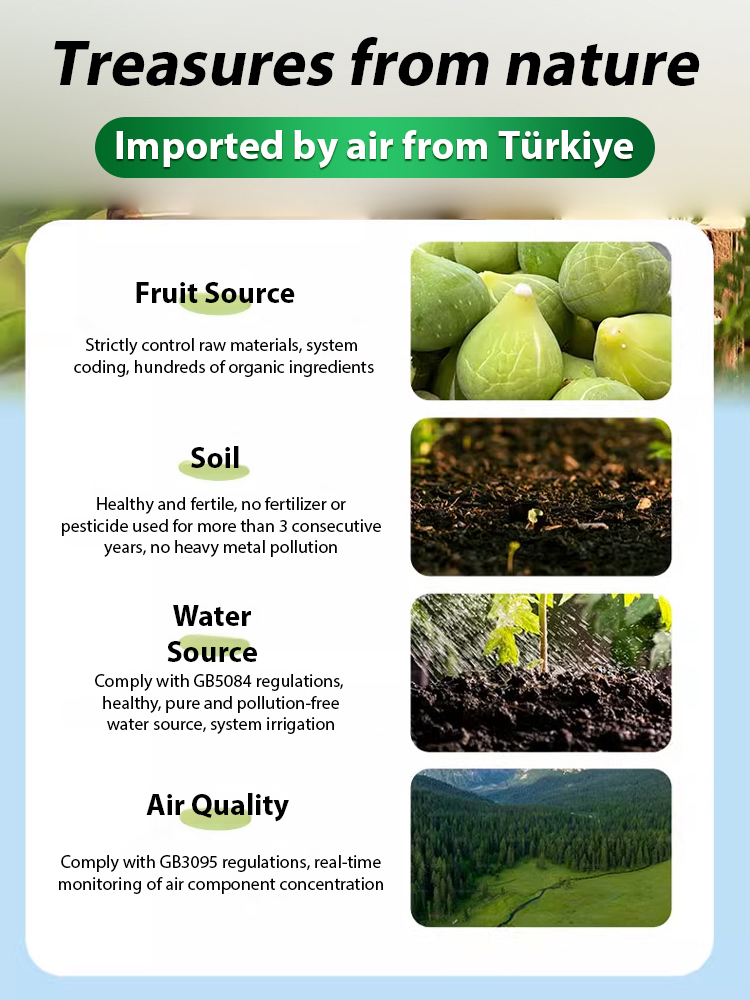 [Enjoy fresh fruit daily] Türkiye imports giant fig tree seeds