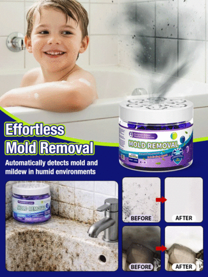 Powerful Household Mold Remover Box for Whole House