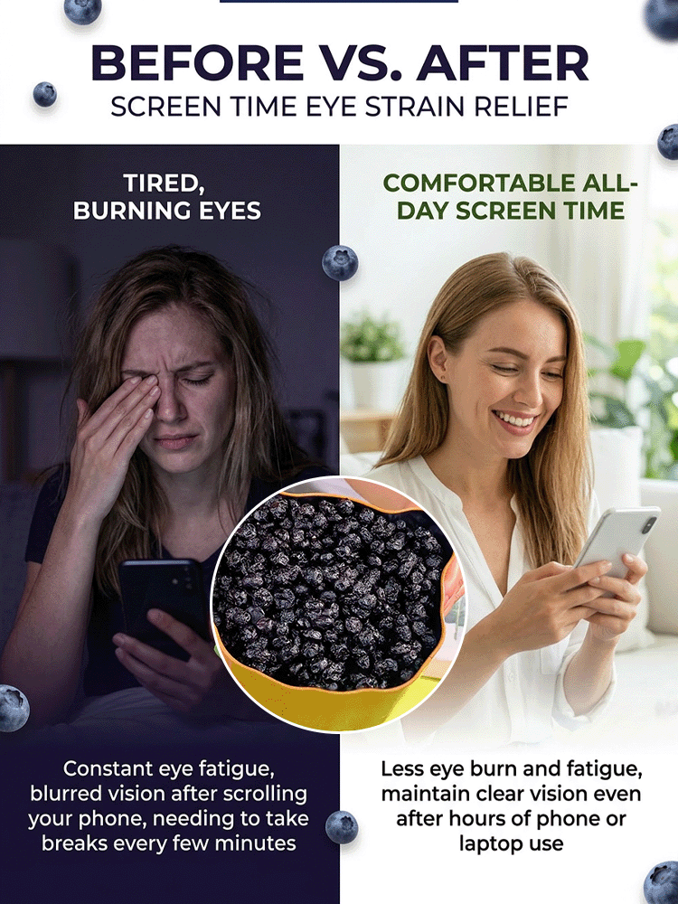 Protect vision & fight aging – Premium natural dried blueberries, Buy 1 Get 1 FREE today!