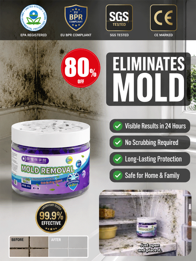 Powerful Household Mold Remover Box for Whole House