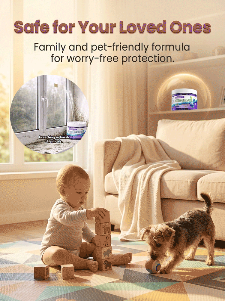 Powerful Household Mold Remover Box for Whole House