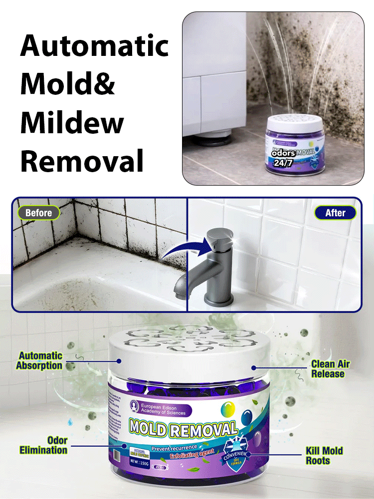 Powerful Household Mold Remover Box for Whole House