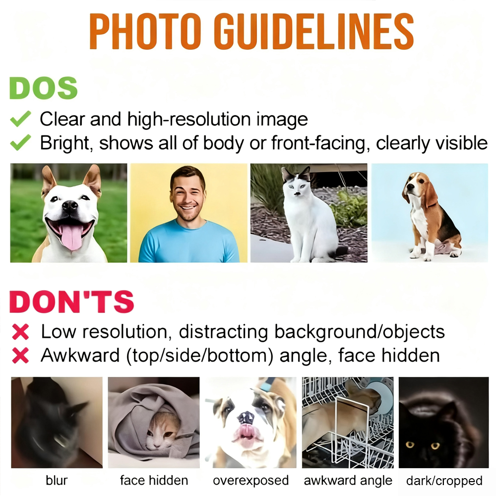 Custom Photo Heart Shaped Memorial Stone - Personalized Pet Memorial Sympathy Gifts