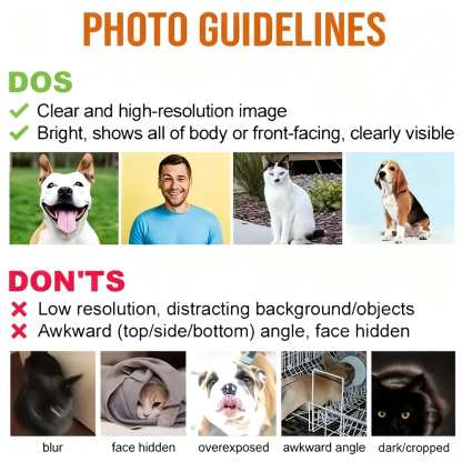 Custom Photo Heart Shaped Memorial Stone - Personalized Pet Memorial Sympathy Gifts