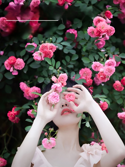 Całoroczne kwitnienie nasiona róż pnących