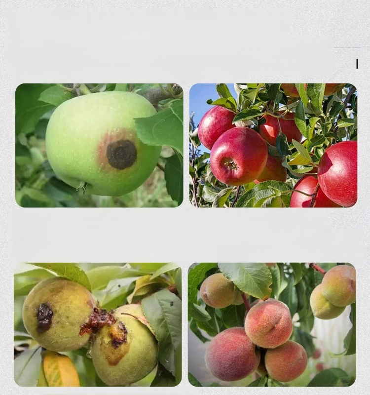 Środek do czyszczenia ogrodów roślinnych i drzew owocowych