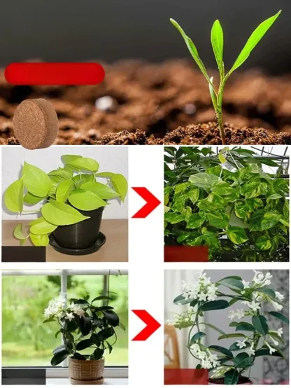 🌴Dziesięcioletnia ziemia odżywcza z włókna kokosowego bez potrzeby nawożenia💧 Super moc ekspansji, pożegnaj się z częstym nawożeniem