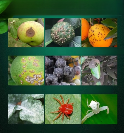 Środek do czyszczenia ogrodów roślinnych i drzew owocowych