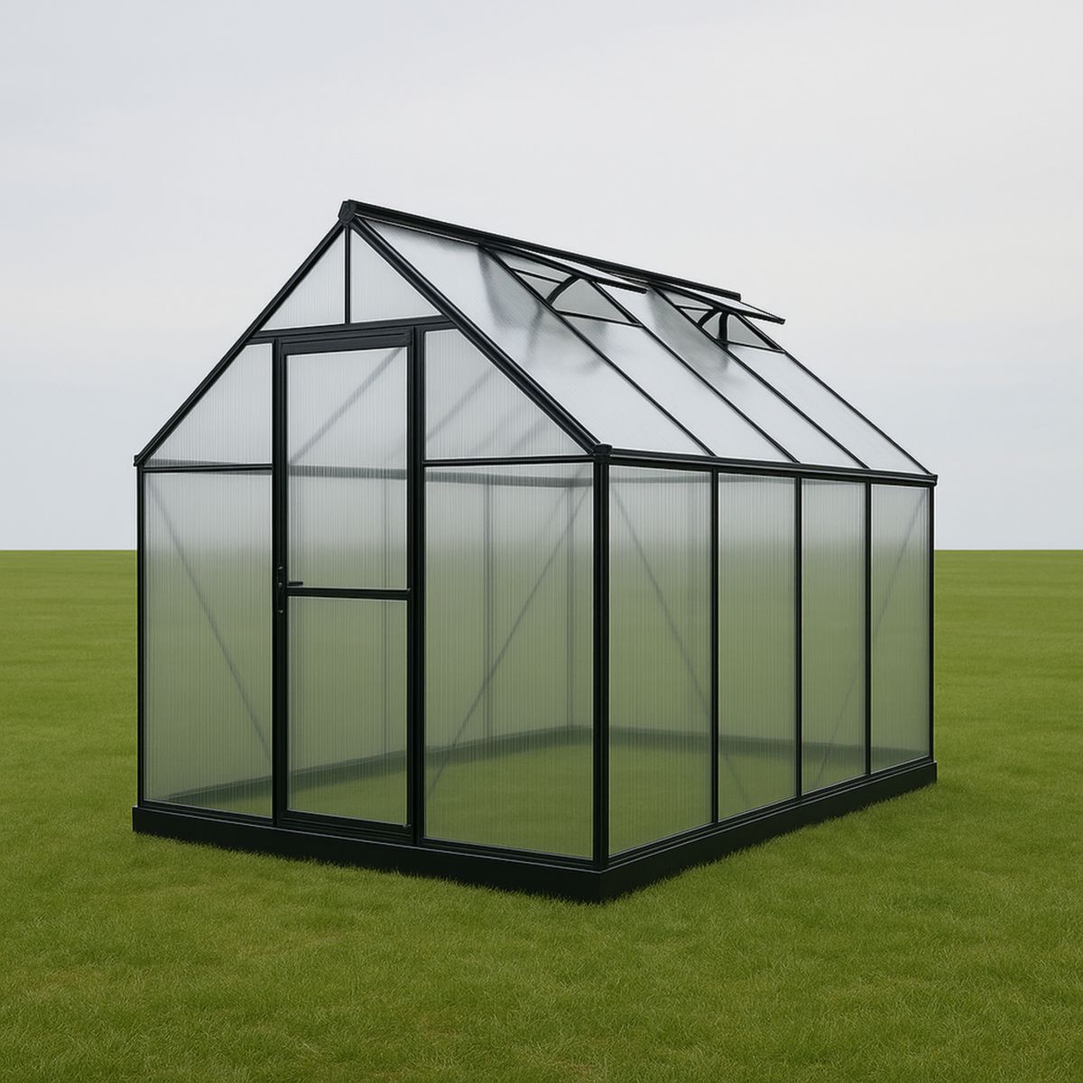 Drivhus Rektangulær 300 x 200 x 200 cm Polykarbonat/Aluminium Klar/Svart