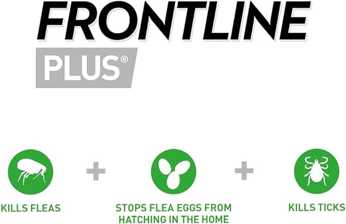 FRONTLINE Plus Flea & Tick Treatment for Cats and Ferrets - 6 Pipettes