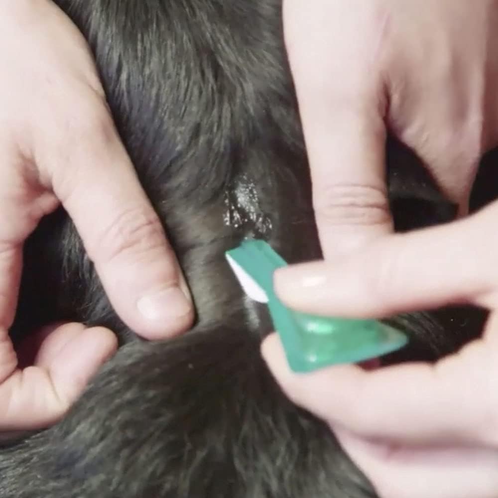 FRONTLINE? Plus Flea Tick Treatment for Medium Dogs (10-20kg)