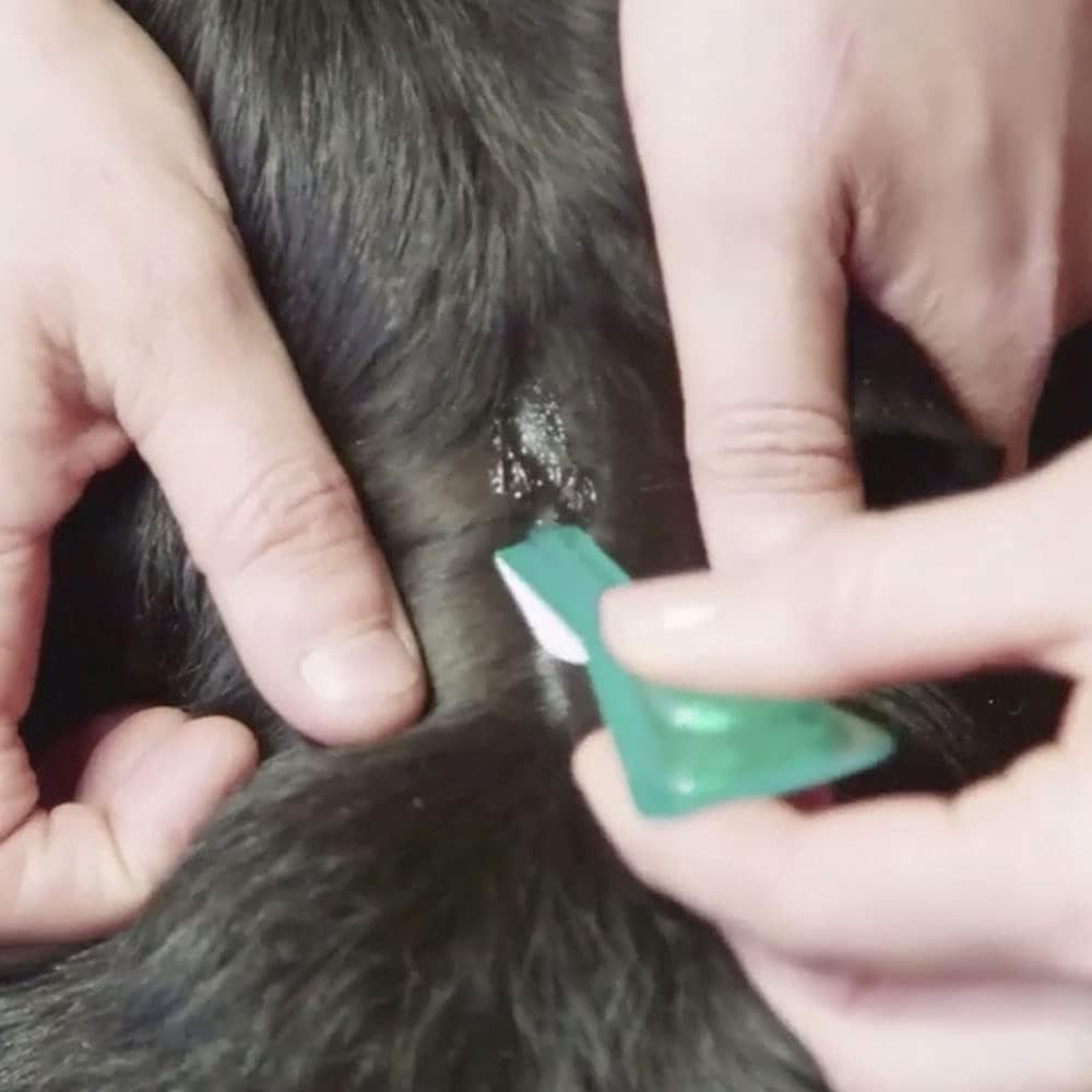FRONTLINE? Plus Flea Tick Treatment for Medium Dogs (10-20kg)
