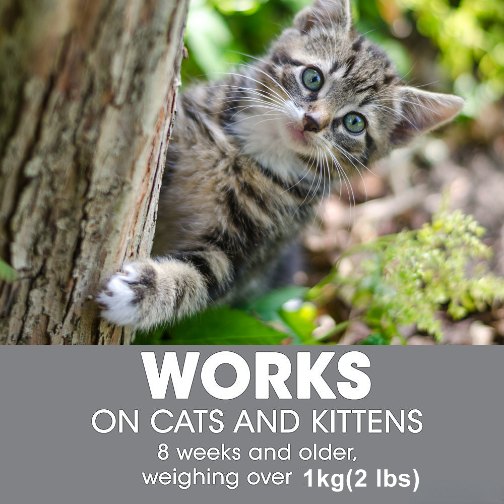 FRONTLINE® Spot-on Flea Tick Treatment for Cats