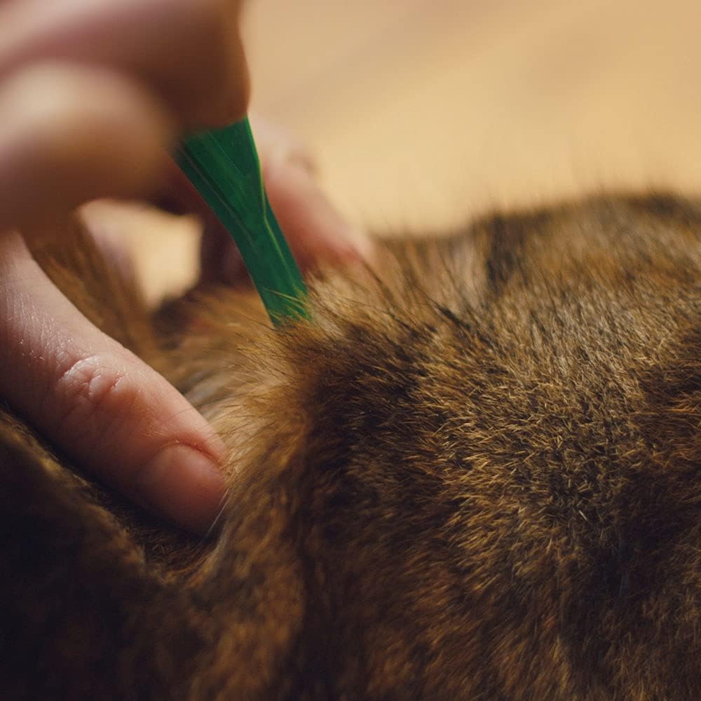FRONTLINE® Plus Flea Tick Treatment for Cats