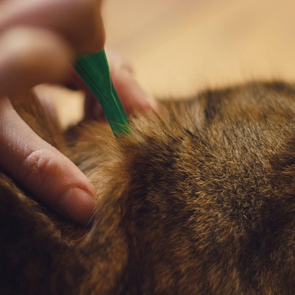 FRONTLINE® Plus Flea Tick Treatment for Cats