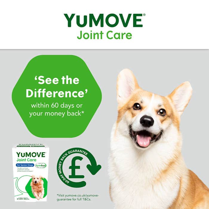 YuMOVE Joint Care for Senior Dogs, 120 Tablets | High Strength Joint Supplement for Older, Stiff Dogs