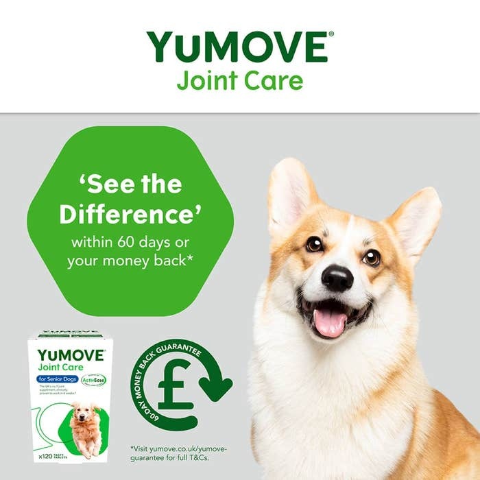 YuMOVE Joint Care for Senior Dogs, 120 Tablets | High Strength Joint Supplement for Older, Stiff Dogs