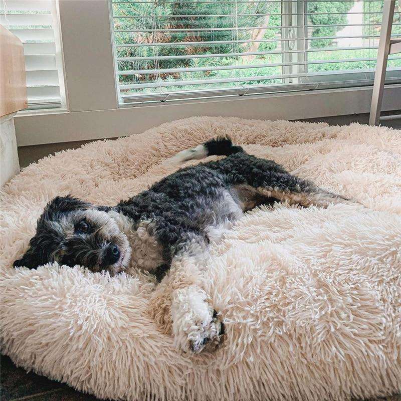 Vet-Recommended Dog Bed | Calming Donut Cuddler for Stressed Dogs