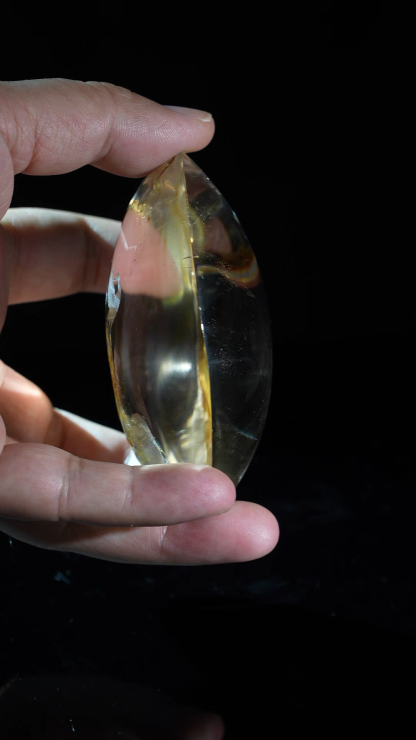 Crystal White Crane Habitat Inside