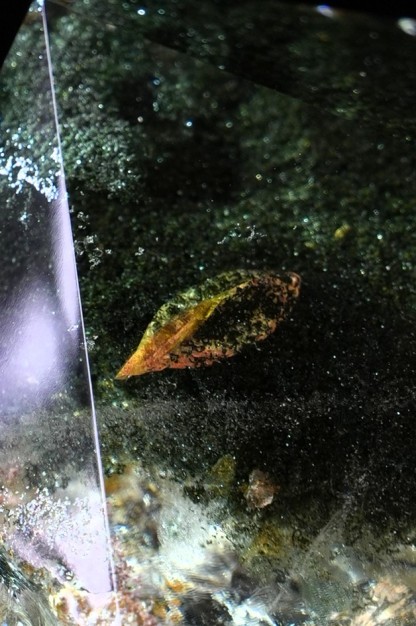 Leaf Shadow Ghost Crystal
