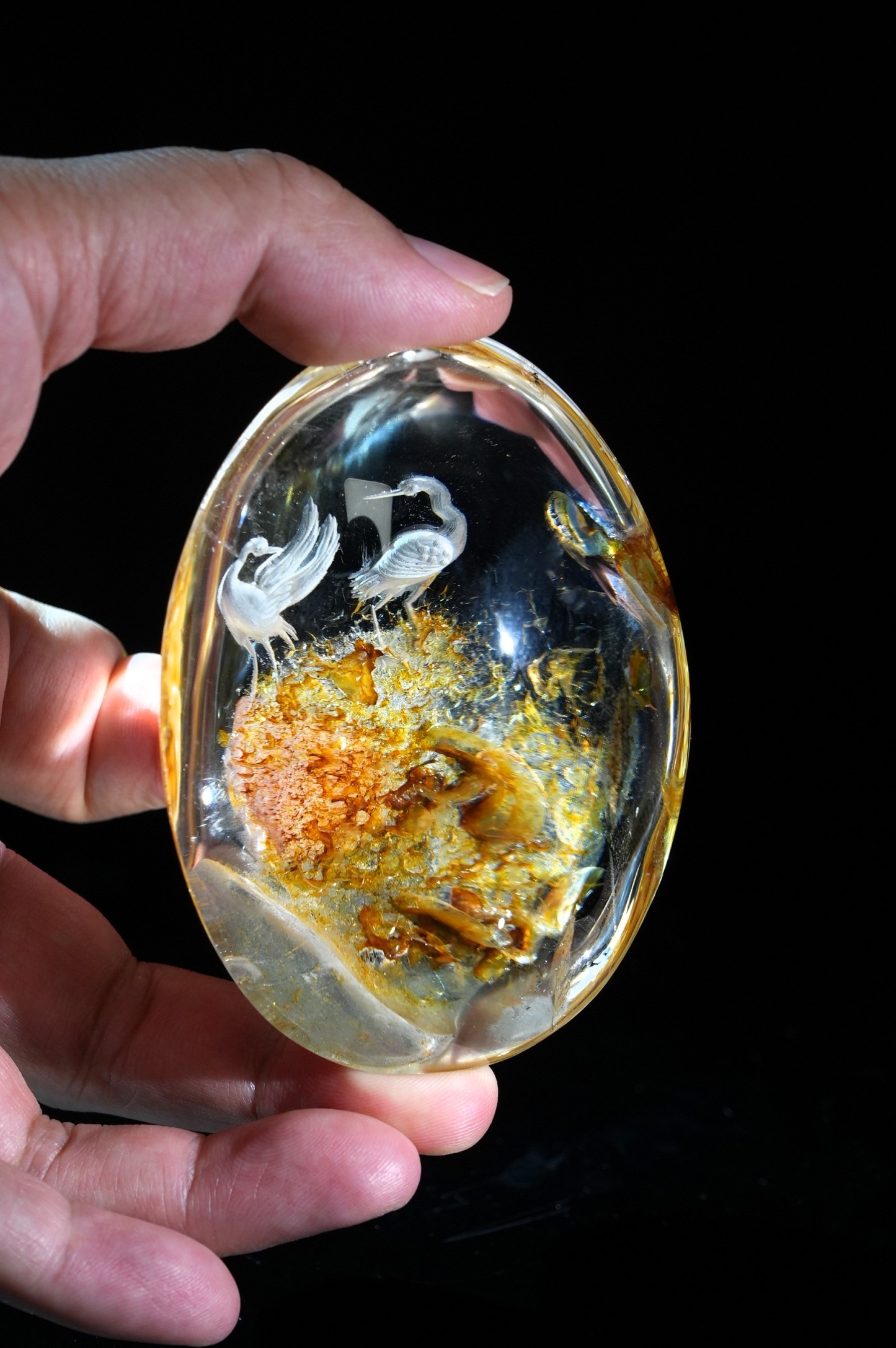 Crystal White Crane Habitat Inside