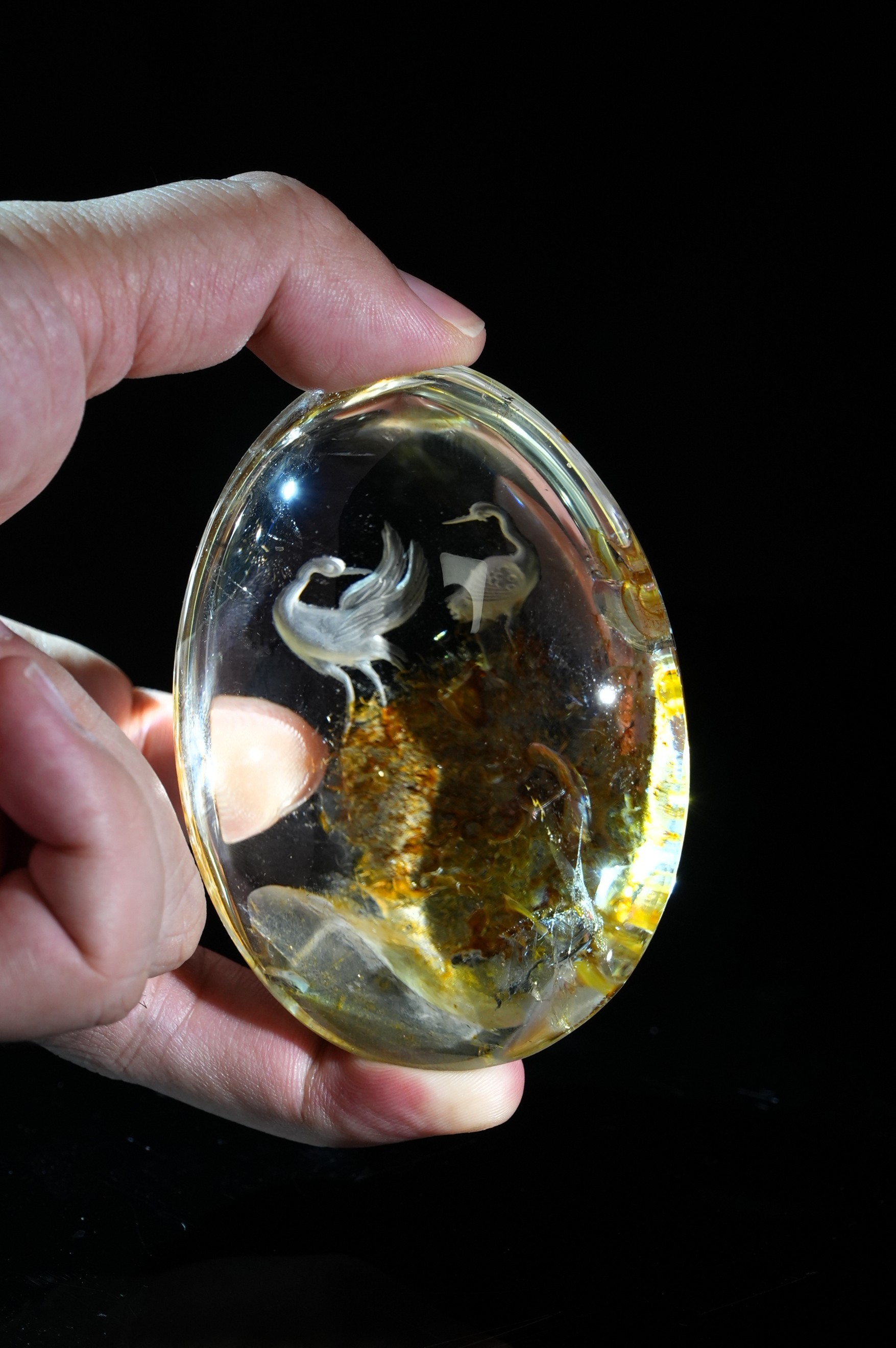 Crystal White Crane Habitat Inside