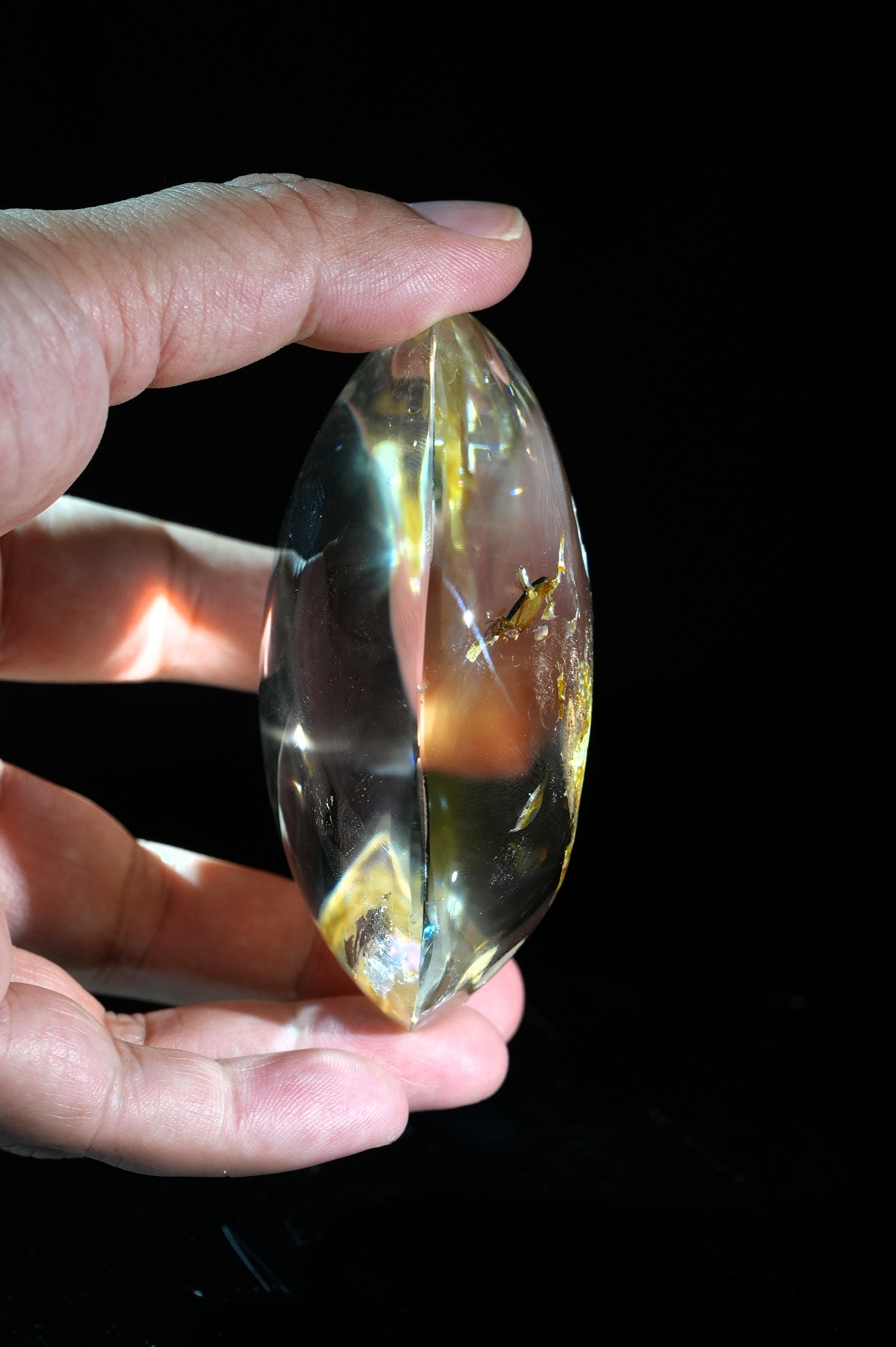 Crystal White Crane Habitat Inside