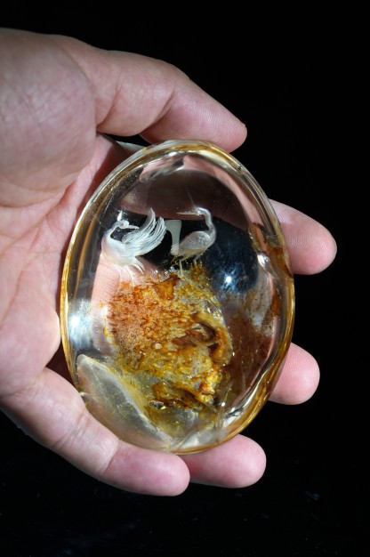 Crystal White Crane Habitat Inside