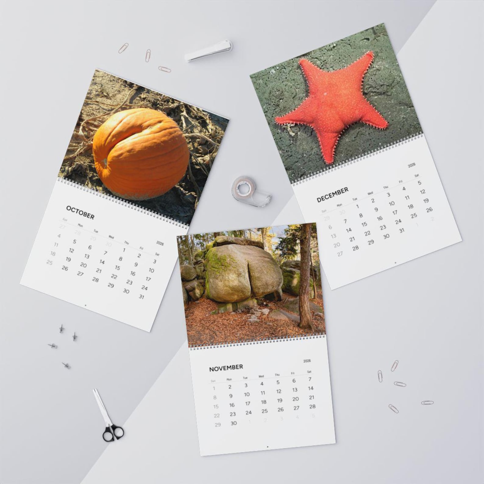 Natures Butt 2026 Calendar