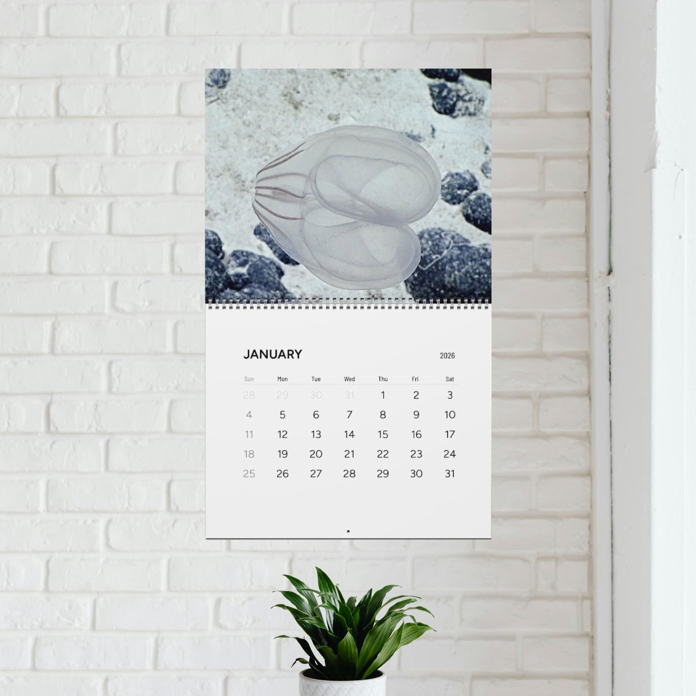 Natures Butt 2026 Calendar