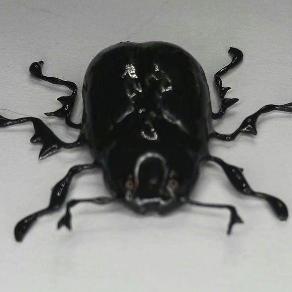 🌿✨ Eco-Friendly Handmade Realistic Scarab Beetle – Lifelike Clay Insect Art for Nature Lovers 💚