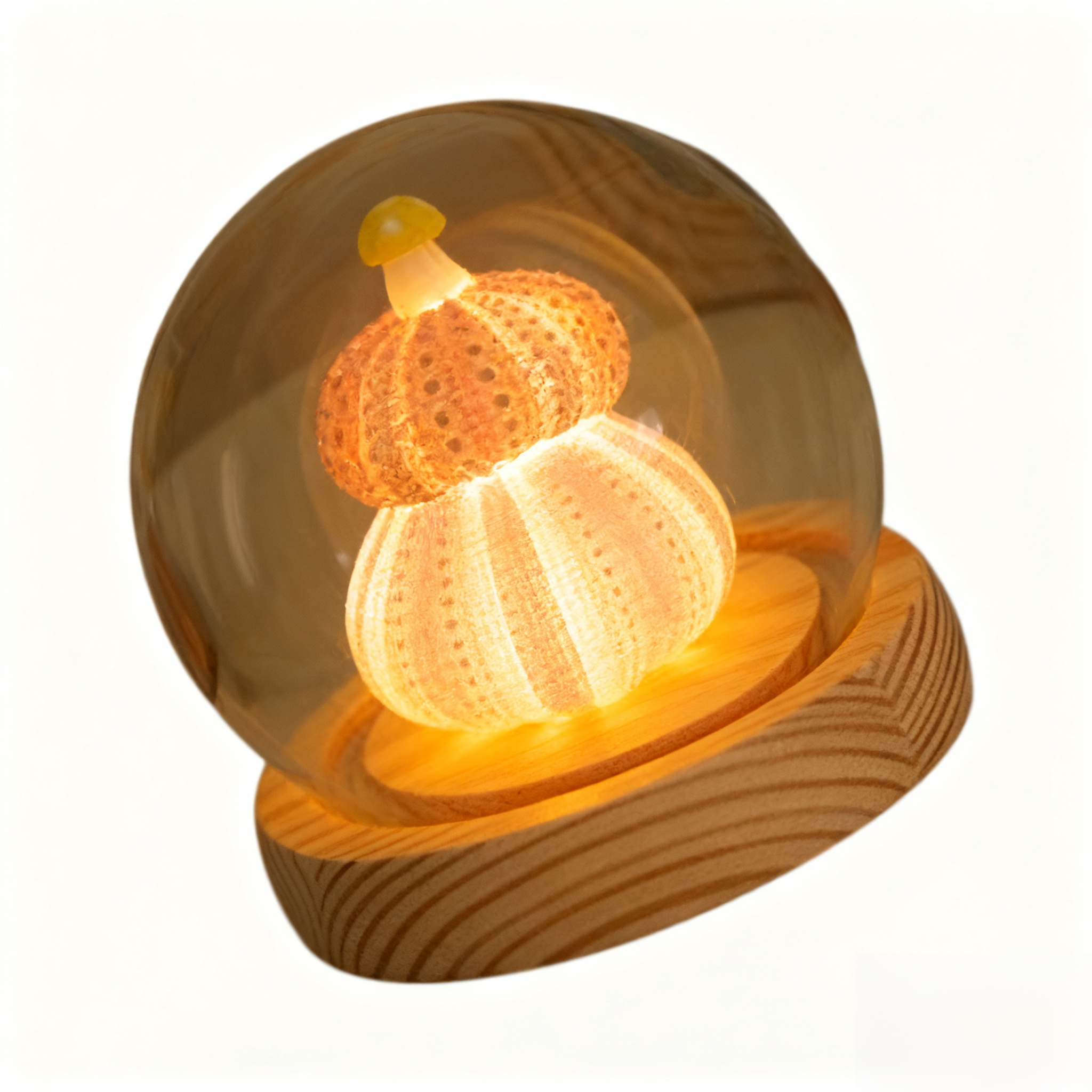 DIY Muschel-Seeigel Nachtlicht Atmosphärenlampe