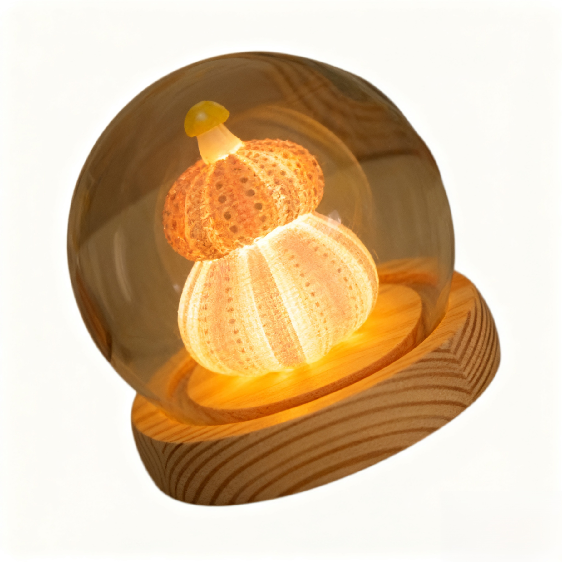 DIY Muschel-Seeigel Nachtlicht Atmosphärenlampe