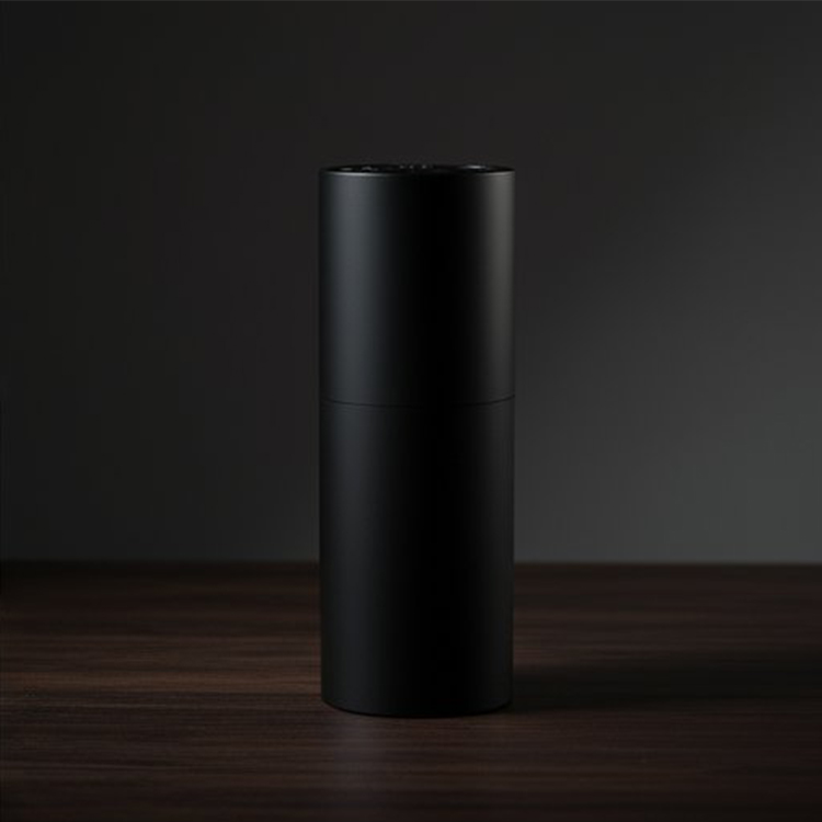 Professioneller Haartrockner mit Ionen-Technologie