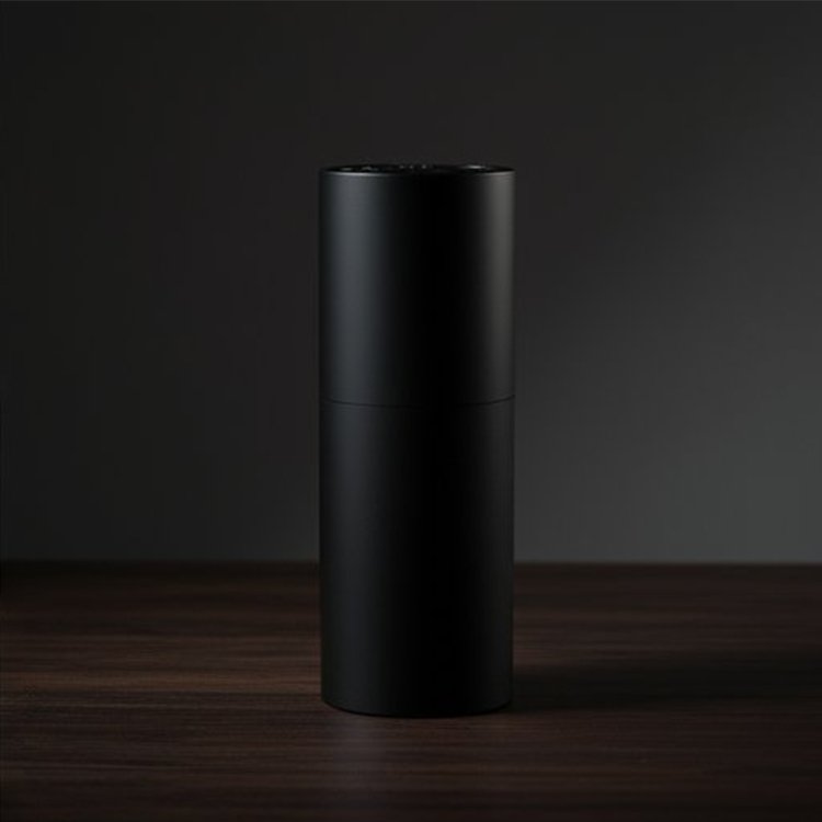 Haartrockner bläst Luft auf glänzendes, glattes Haar