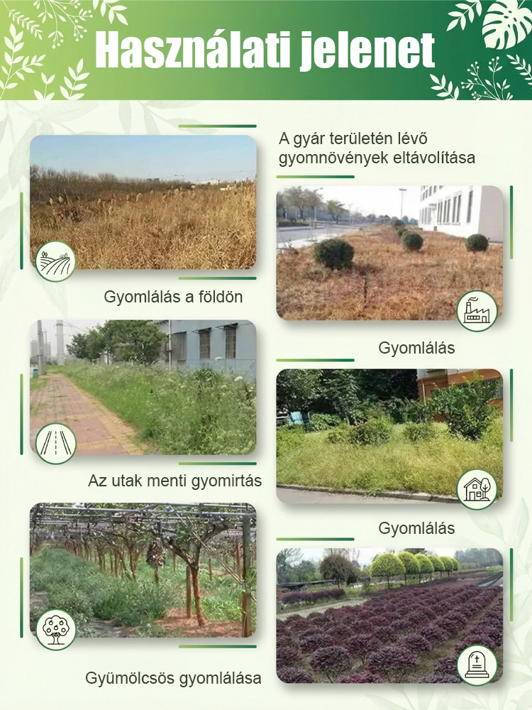 【Érvénytelen visszatérítés】Nagy fa gyomirtó csillag