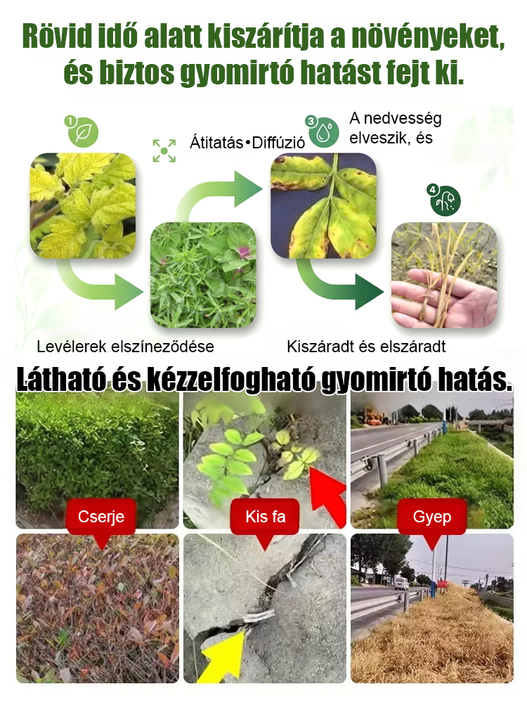 【Érvénytelen visszatérítés】Nagy fa gyomirtó csillag