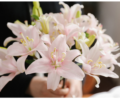 [25-Day Bloom] Fragrant Double Lily Bulbs | Easy Care, Luxury Scent & Air Purifying 🌹✨