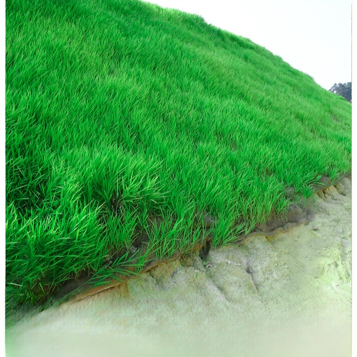 [99% Germination Rate] 【Dutch Technology 】High-Density Repair Formula！7-Day Germination Grass Seed – Limited Sale of Newest Improved Variety