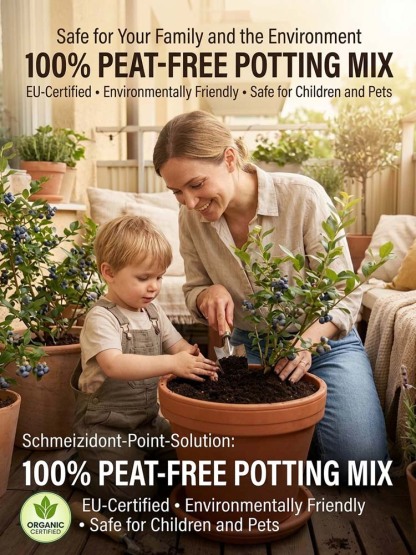 🫐【No fruit, full refund】Duke Blueberry Sapling - XXL Jumbo Fruit, High Yield, Ideal for Garden or Potted Planting