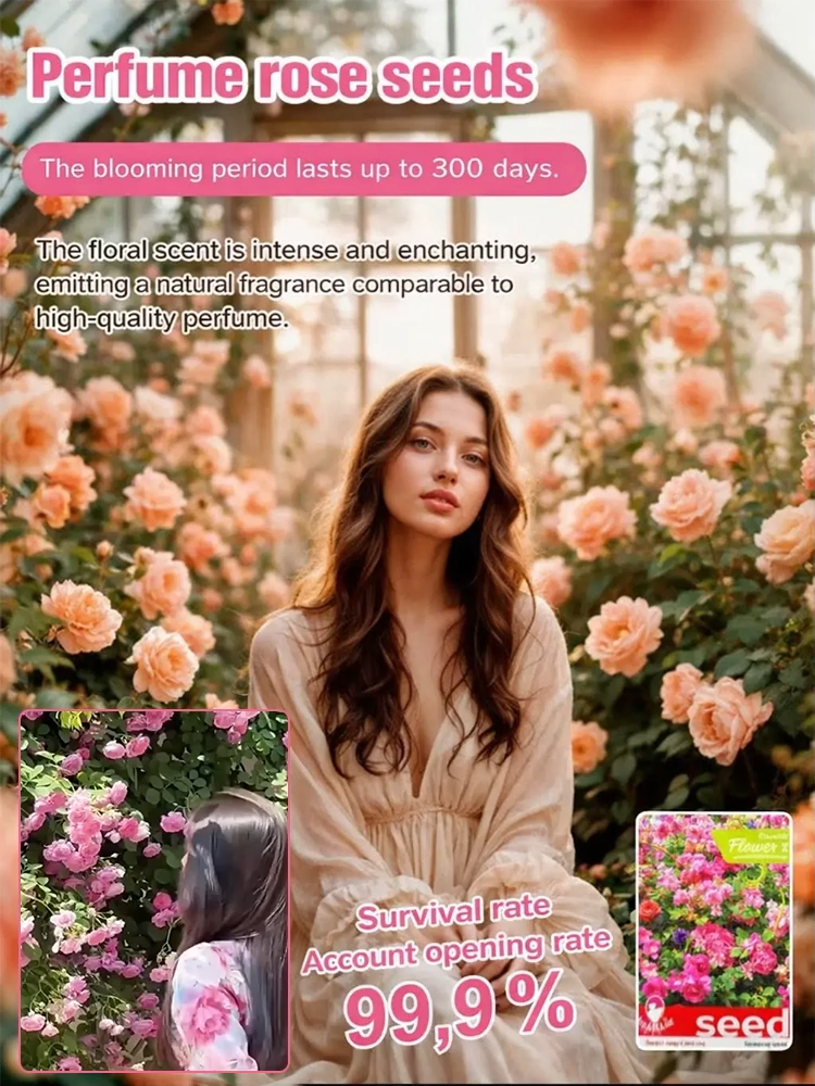 Home Gardening Double Petal Rose Seeds