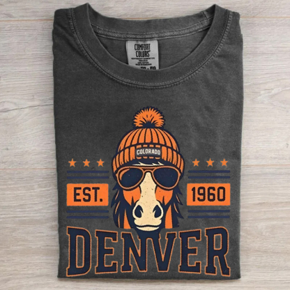 Vintage Denver Football T-shirt
