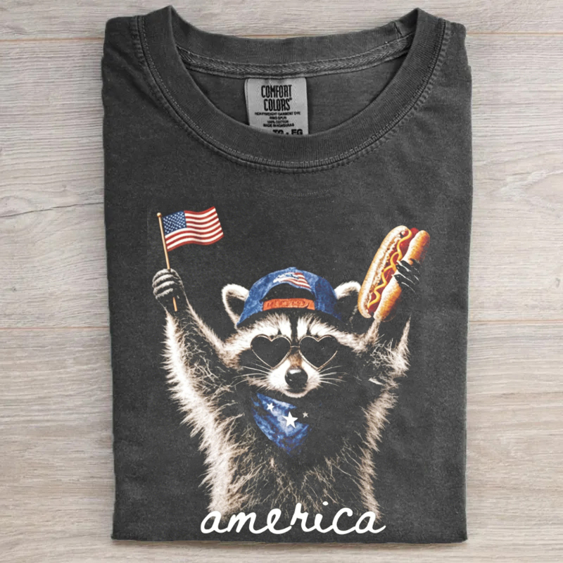 1776 2026 Land Of The Free Patriotic T-shirt
