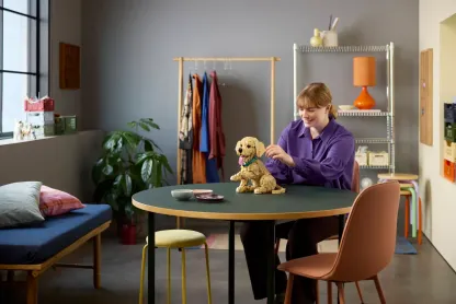 Golden retriever puppy