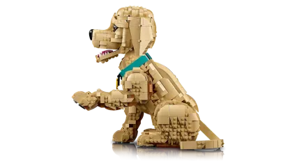 Golden retriever puppy