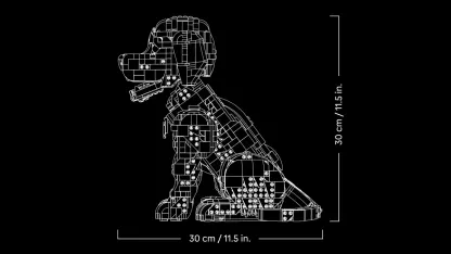 Golden retriever puppy