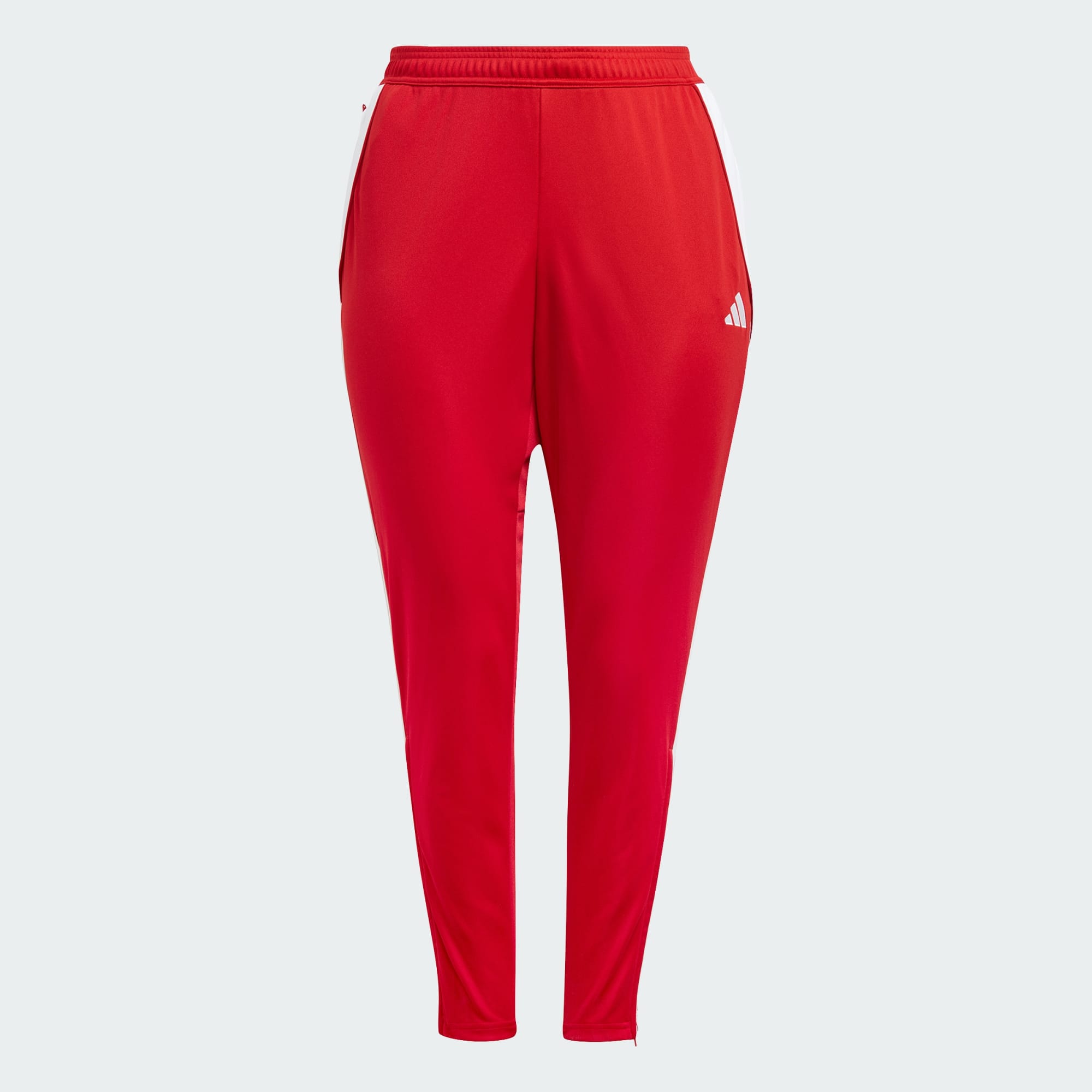 Tiro 24 Training Pants (Plus Size)